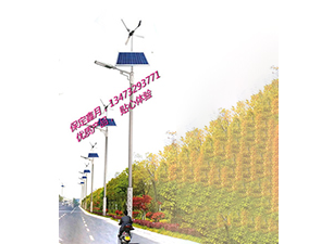 風(fēng)光互補太陽能路燈FGD-31 風(fēng)光互補太陽能路燈FGD-31