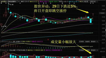 中信重工與掌趣科技逆市上漲，今日重點關注這三只互聯網概念股