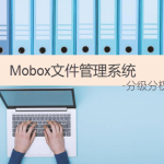 企業文件管理軟件-實現分級分權文檔安全管控