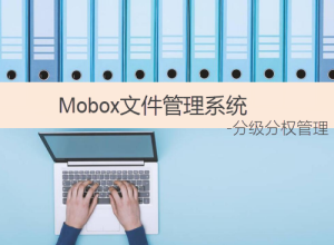 企業(yè)文件管理軟件-實(shí)現(xiàn)分級(jí)分權(quán)文檔安全管控