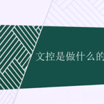 文控是做什么的