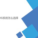 wms系統怎么選擇？