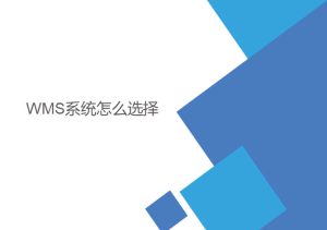 wms系統怎么選擇？